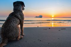 SONNENAUFGANG IN TRAVEMÜNDE