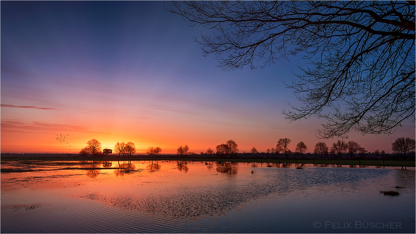 Sonnenaufgang in unserem Moor