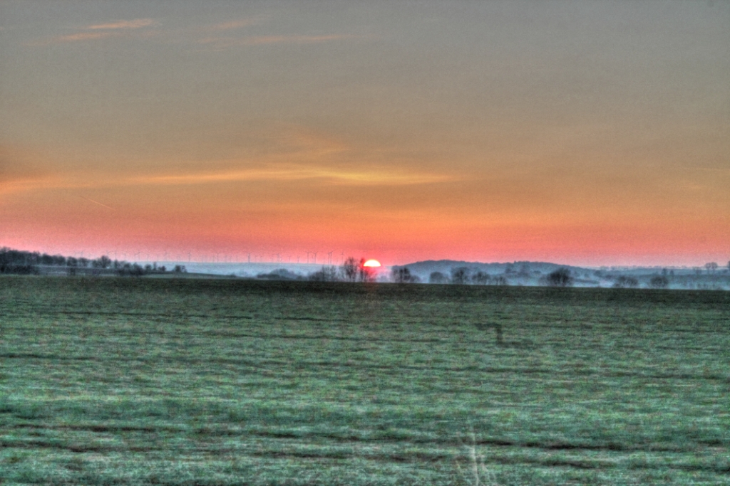 Sonnenaufgang in unserer Feldmarkt