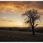 Sonnenaufgang in Unterfranken