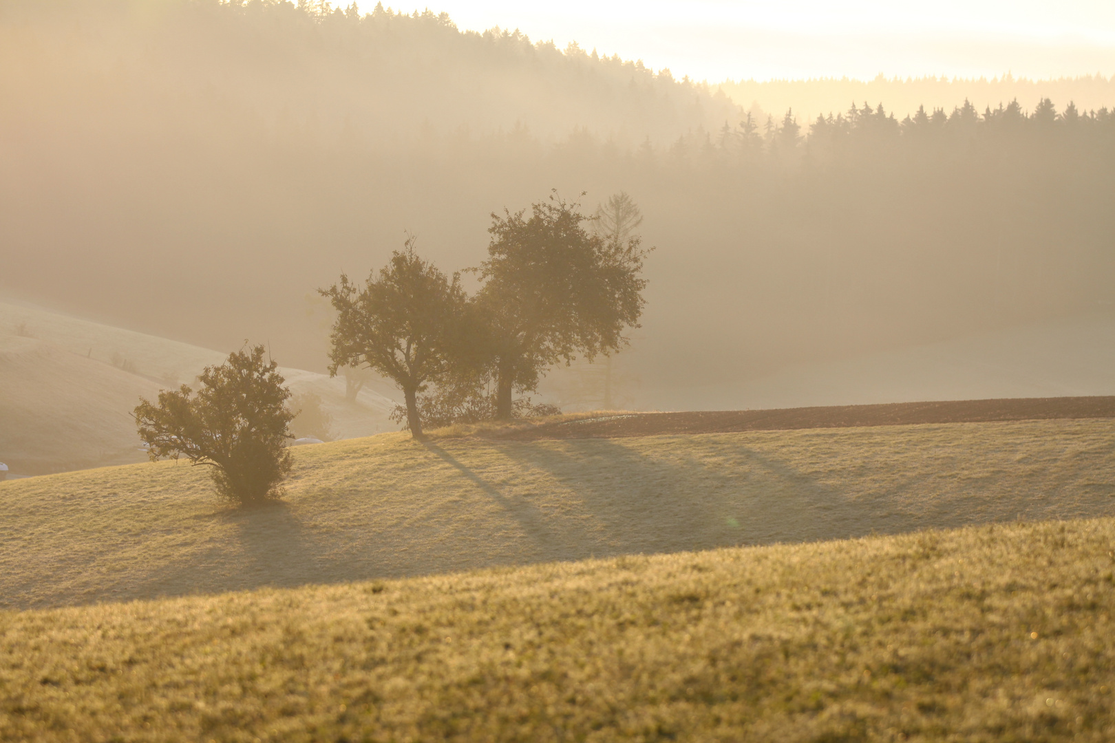 Sonnenaufgang in Unterkirnch