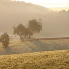 Sonnenaufgang in Unterkirnch