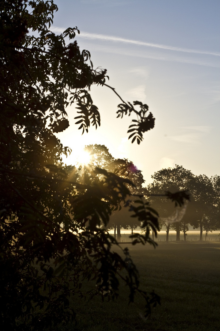 Sonnenaufgang In Wallenburg