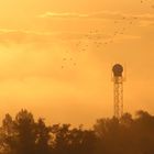 Sonnenaufgang in Warnemünde