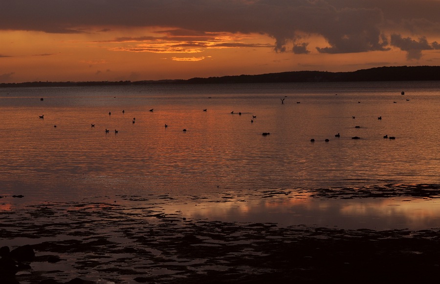 Sonnenaufgang in Wassersleben