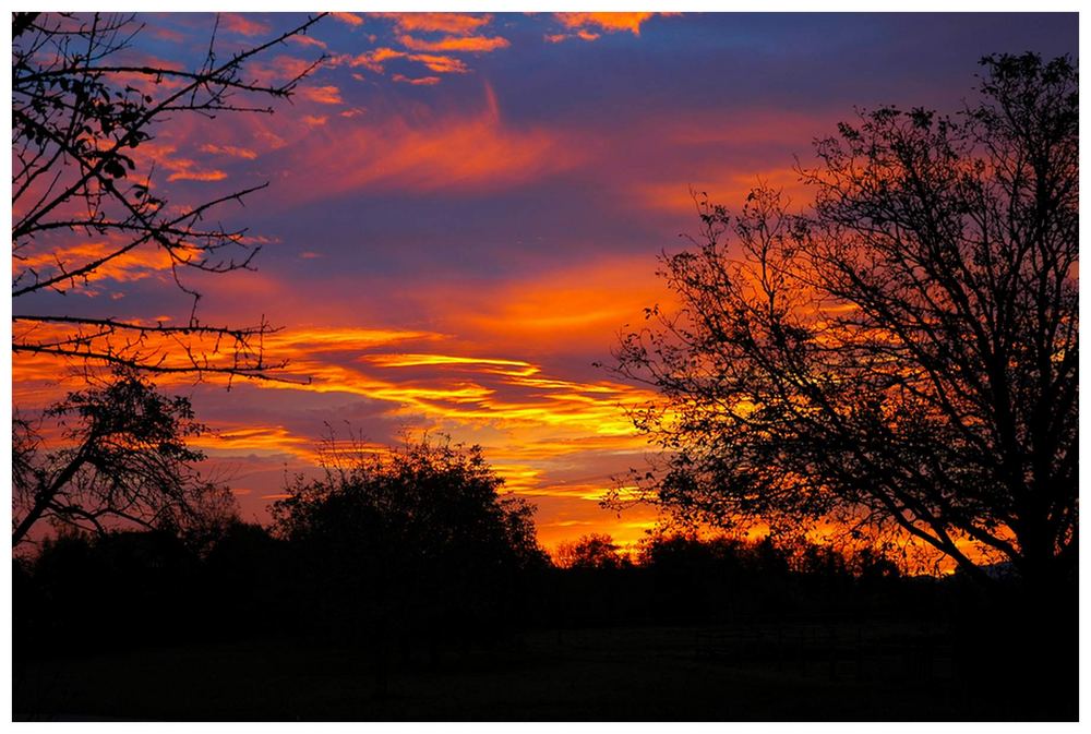 Sonnenaufgang in Weisweil