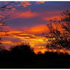 Sonnenaufgang in Weisweil