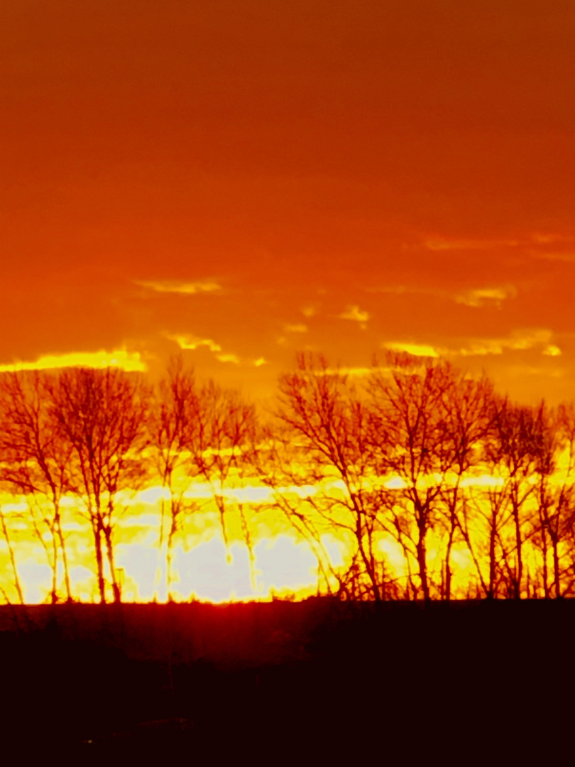 Sonnenaufgang in Wien 