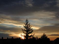 Sonnenaufgang in Wien