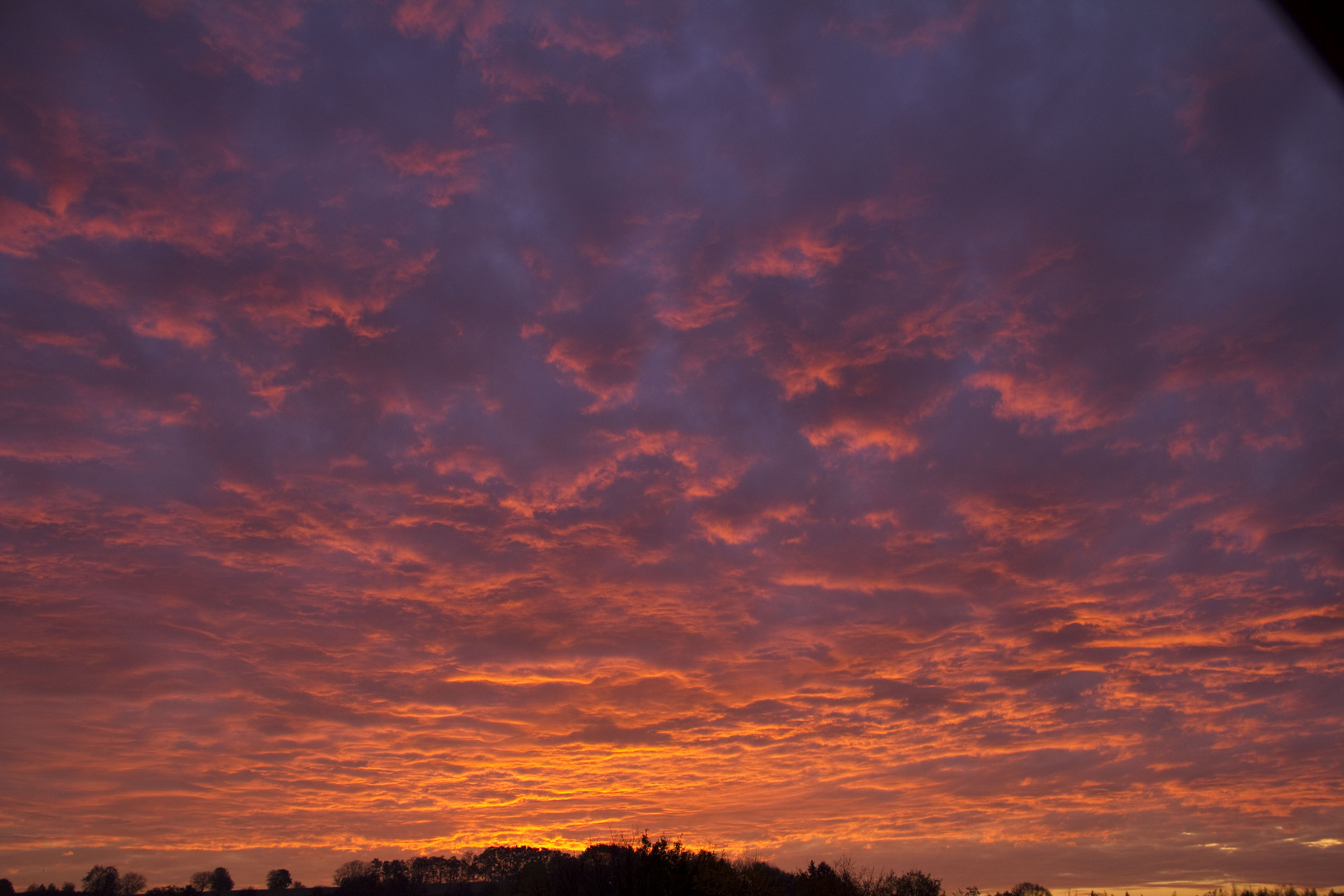 Sonnenaufgang in Wiesloch-Baiertal (Baden)