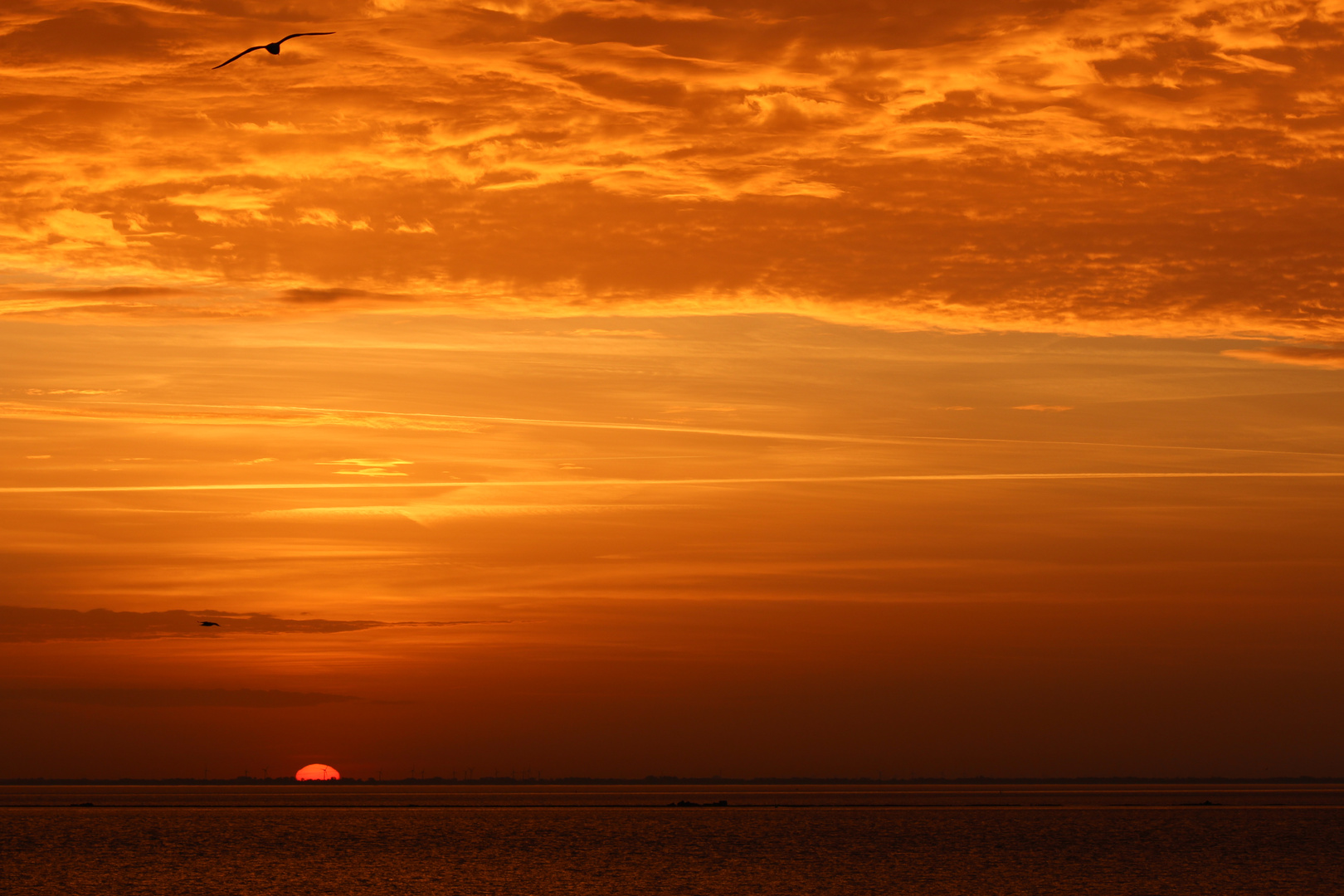 Sonnenaufgang in Wilhelmshaven