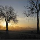 Sonnenaufgang in Wittenhagen bei Feldberg