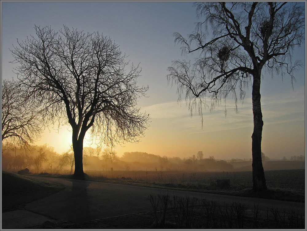 Sonnenaufgang in Wittenhagen bei Feldberg