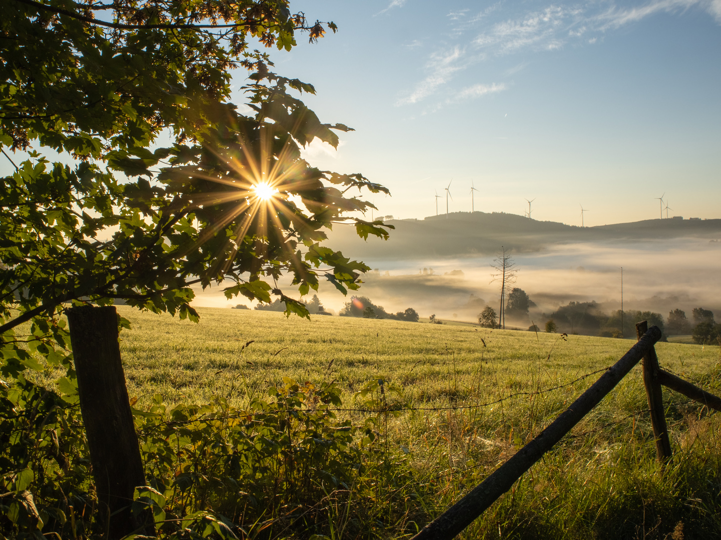 Sonnenaufgang in Wittgenstein 