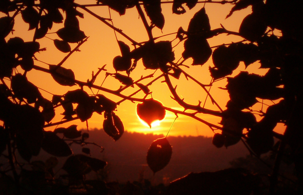 Sonnenaufgang in Wülfrath