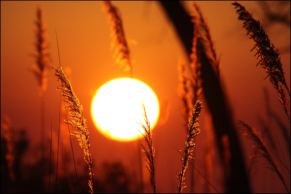 Sonnenaufgang in Xakanaxa