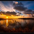 Sonnenaufgang in Zingst /2.