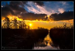 Sonnenaufgang in Zingst /3.