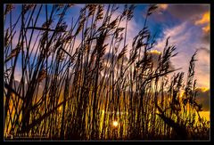 Sonnenaufgang in Zingst /4.