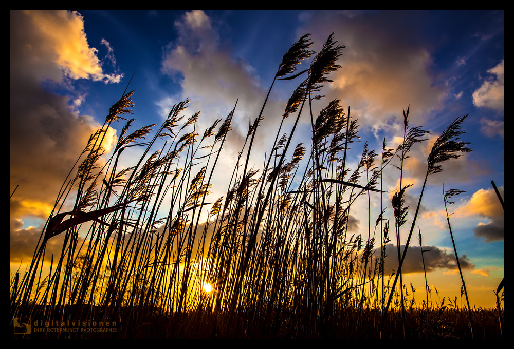 Sonnenaufgang in Zingst /5.