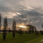 Sonnenaufgang in Zons am Rhein