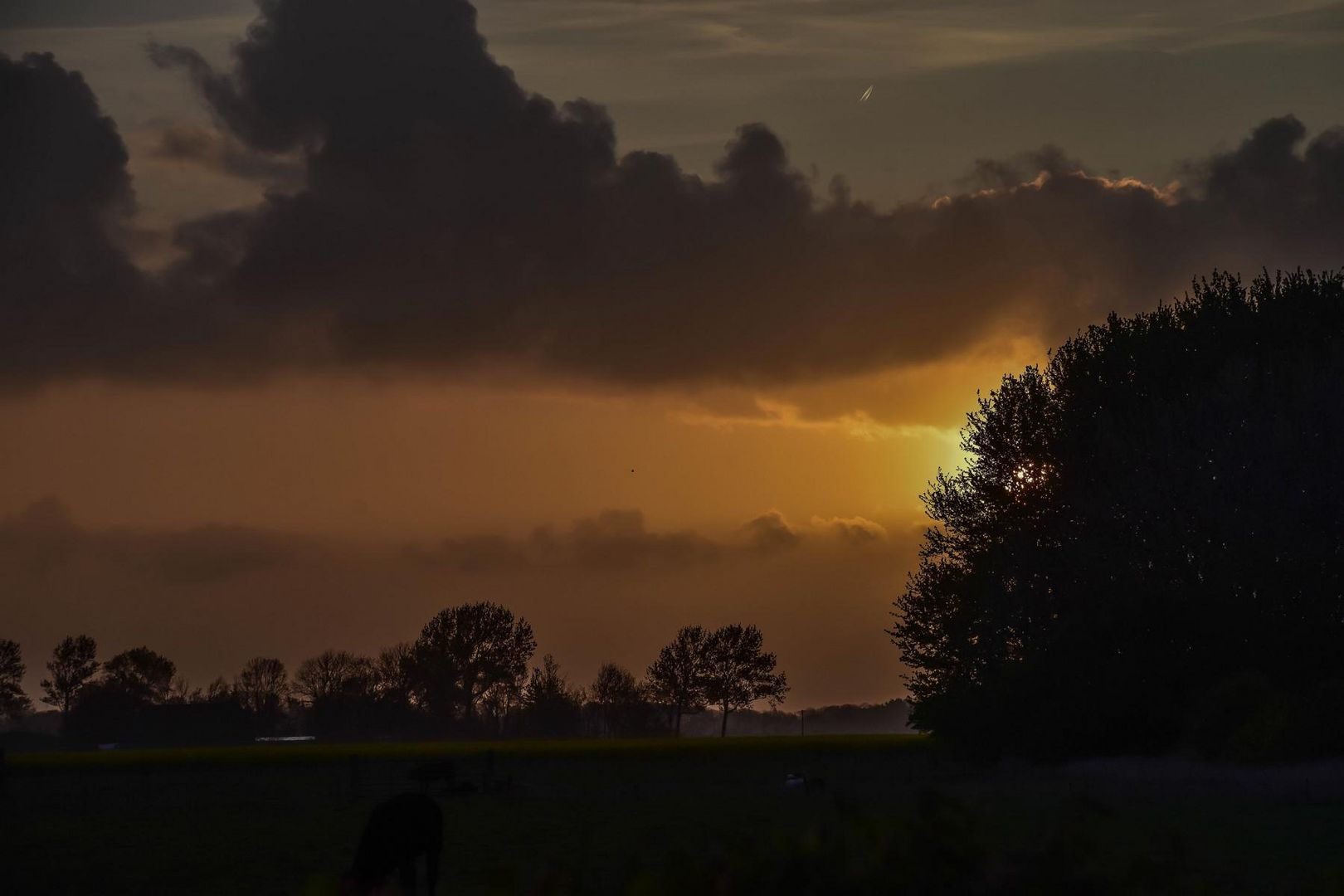 Sonnenaufgang irgendwo auf Eiderstedt