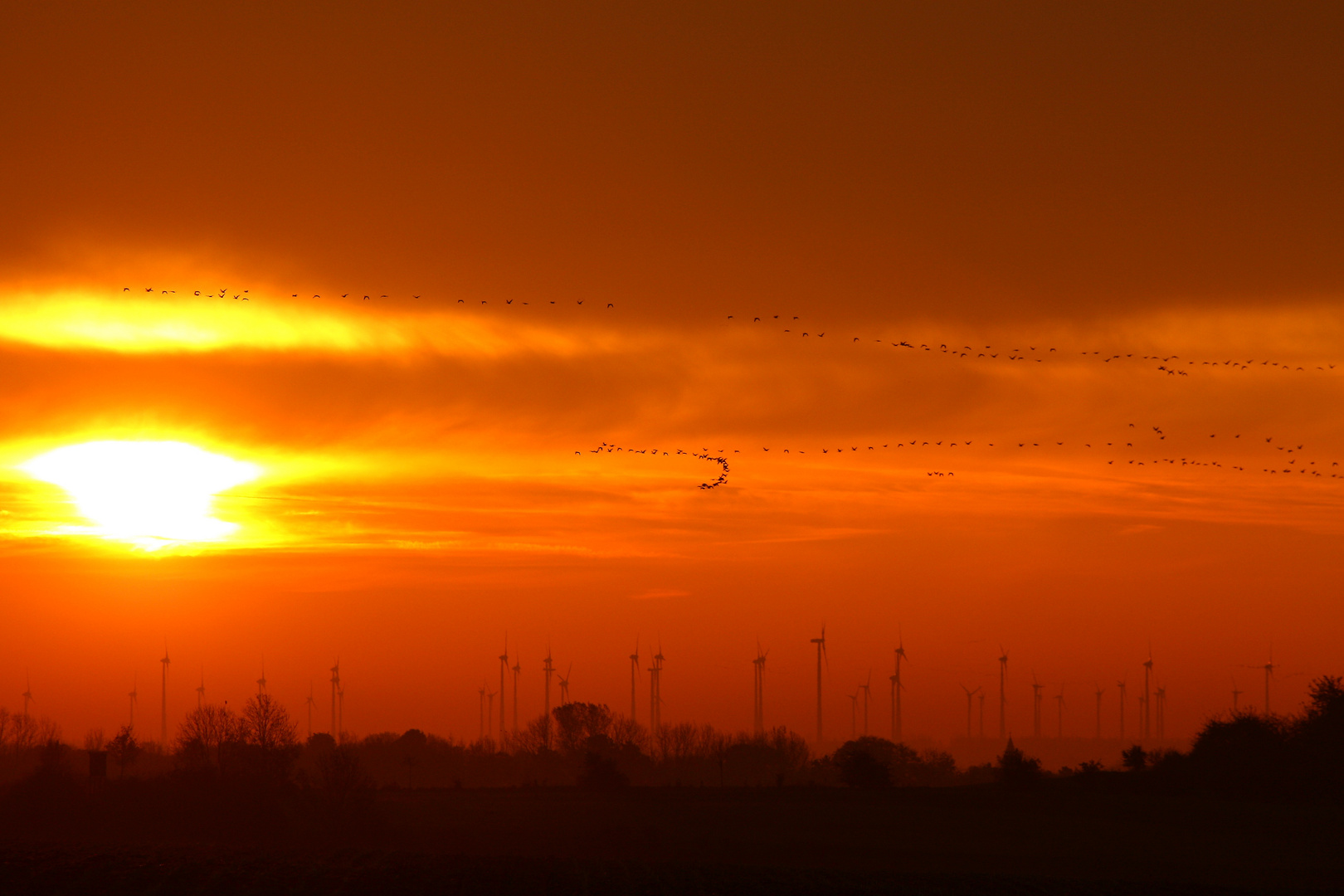 Sonnenaufgang irgendwo in Sachsen-Anhalt - dem "Land der vielen Wintkraftanlagen"