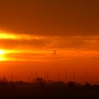 Sonnenaufgang irgendwo in Sachsen-Anhalt - dem "Land der vielen Wintkraftanlagen"