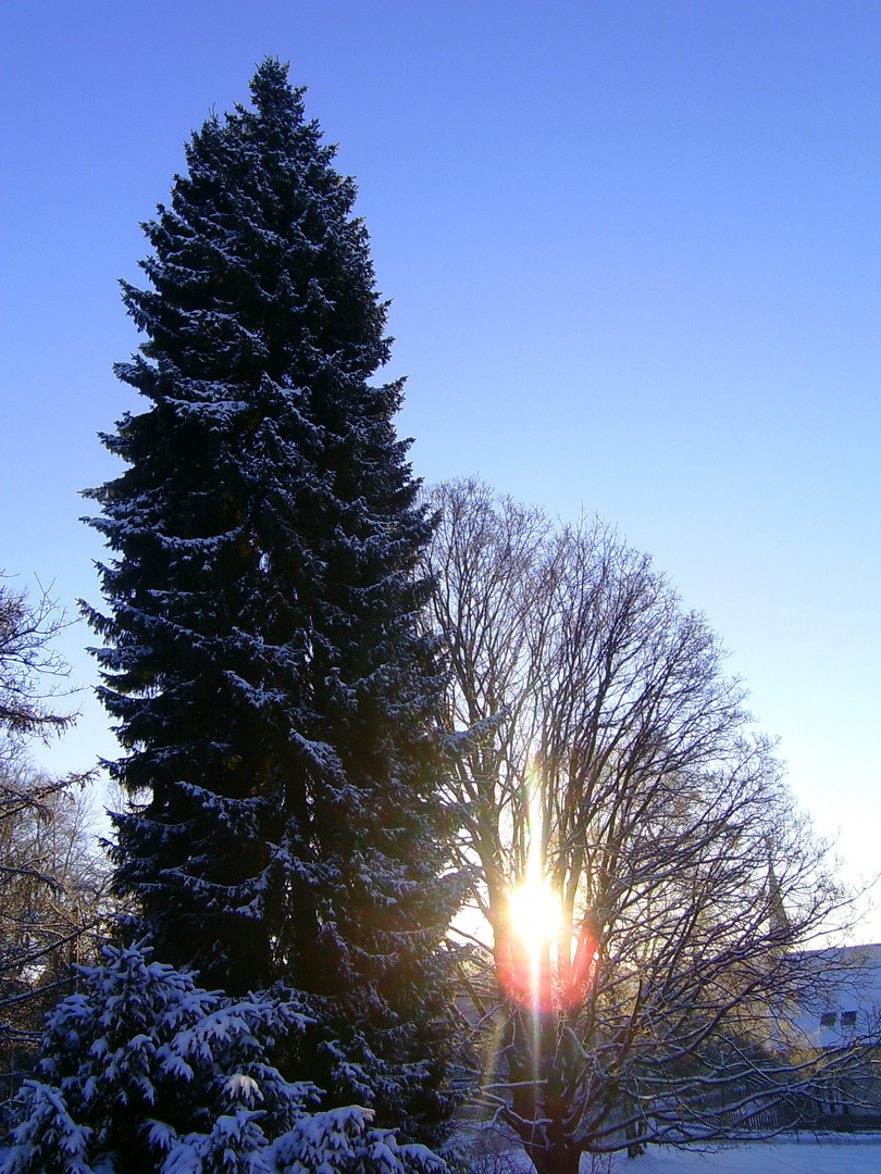 Sonnenaufgang Januar 2009