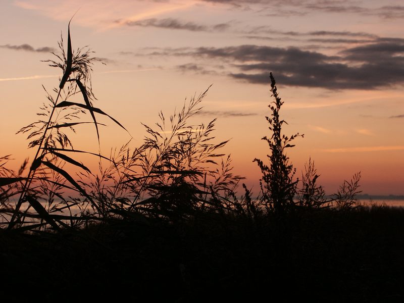 Sonnenaufgang Keitum/Sylt