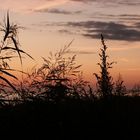 Sonnenaufgang Keitum/Sylt