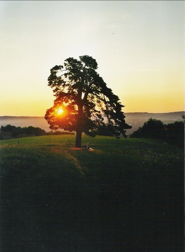 Sonnenaufgang (Kempten)