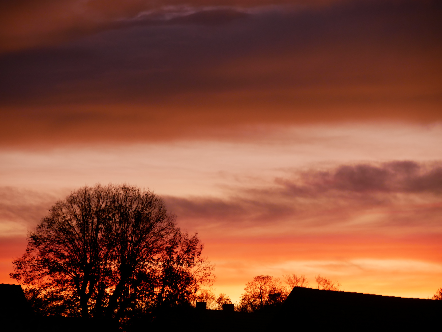 Sonnenaufgang Lamsfeld