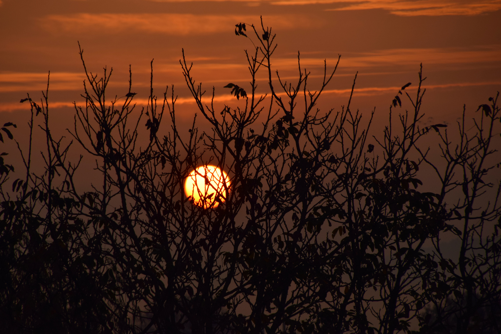 Sonnenaufgang Landkreis Bamberg