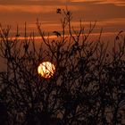 Sonnenaufgang Landkreis Bamberg