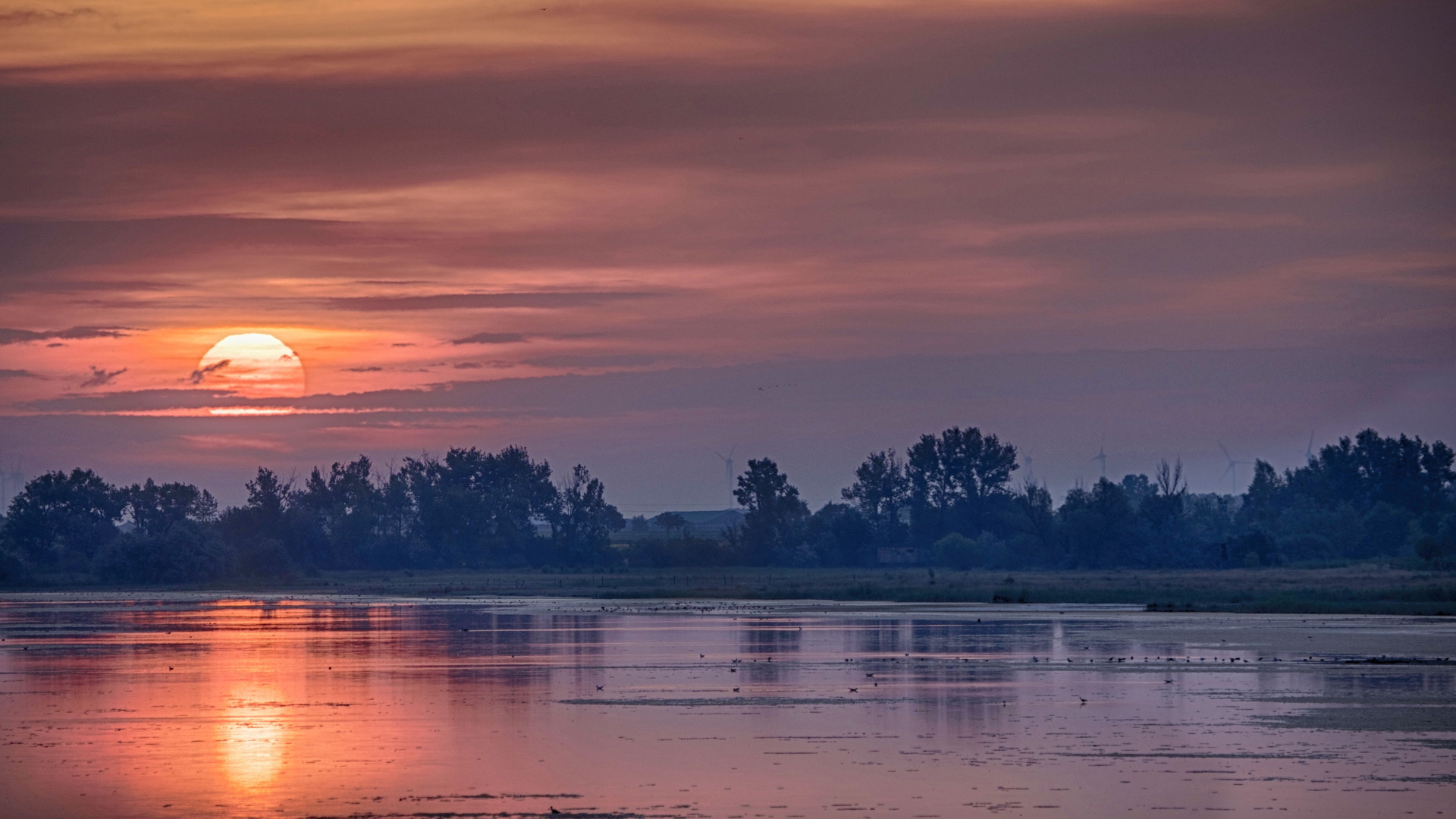 Sonnenaufgang Lange Lacke 