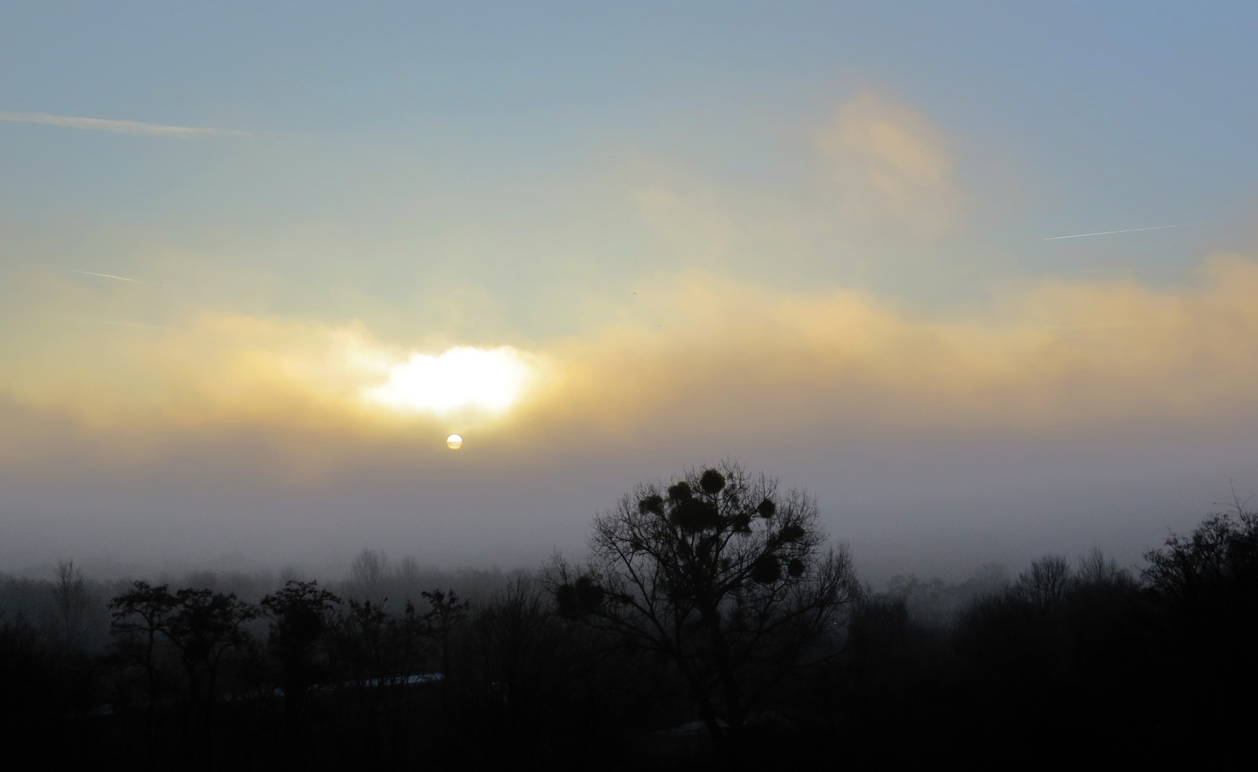 Sonnenaufgang ll - Morgendlicher Nebel