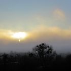 Sonnenaufgang ll - Morgendlicher Nebel