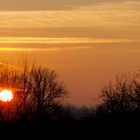 Sonnenaufgang Lüneburger Heide