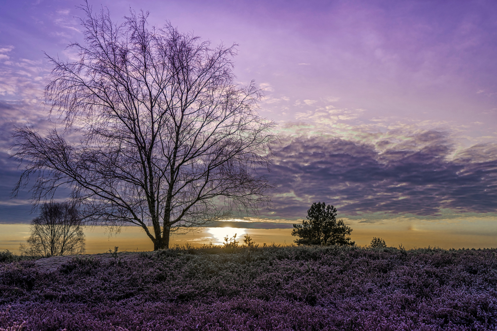 Sonnenaufgang Lüneburger Heide ...