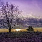 Sonnenaufgang Lüneburger Heide ...