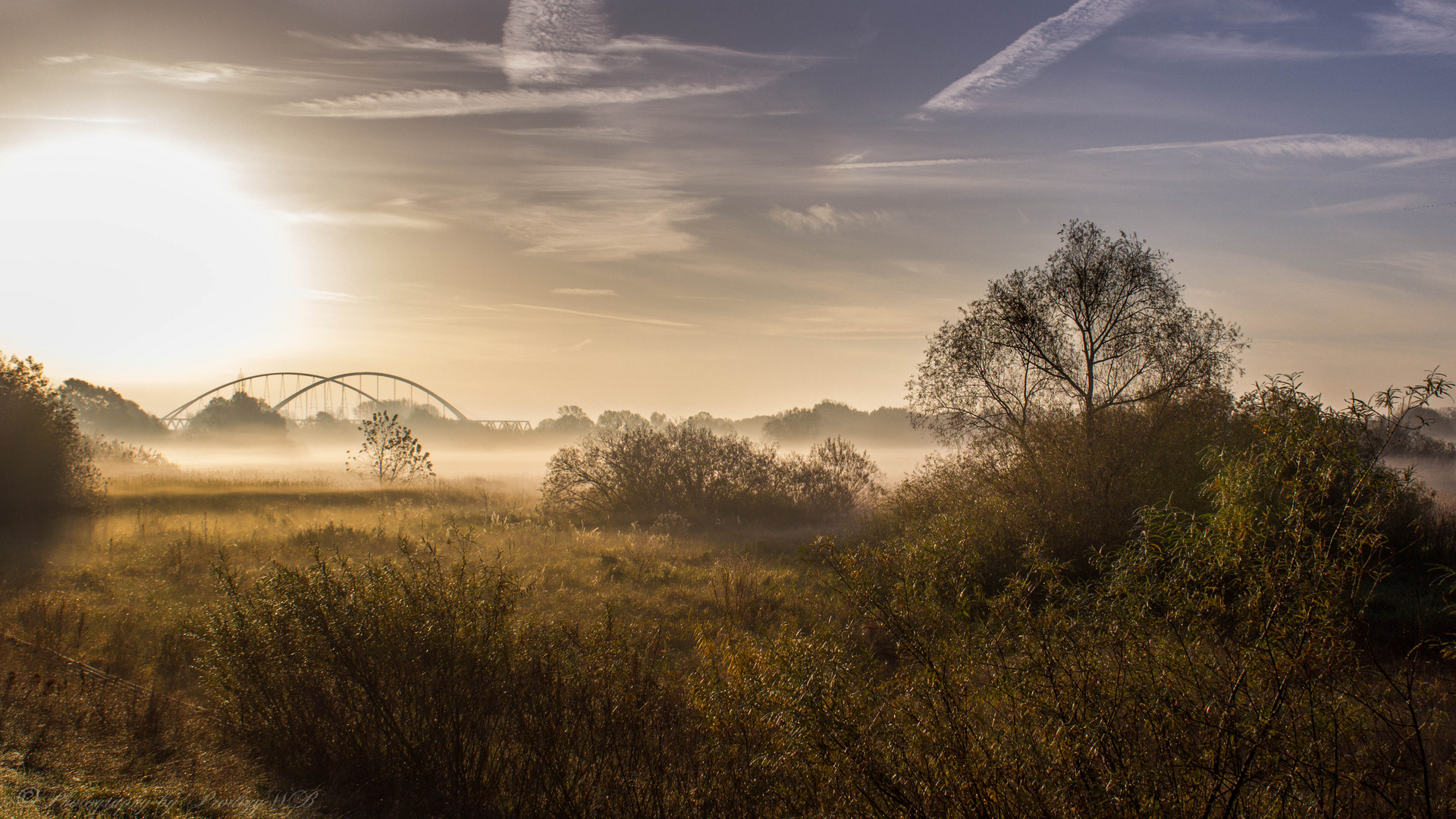 Sonnenaufgang Lutherstadt Wittenberg (Elbe)