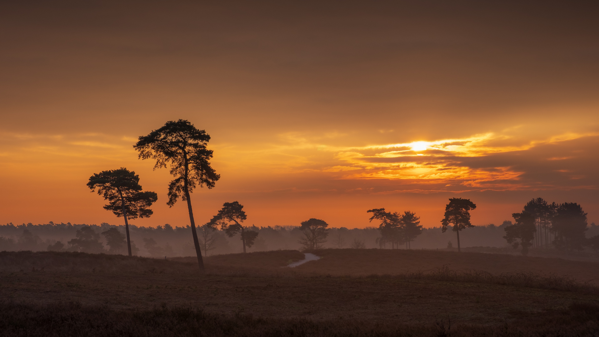 Sonnenaufgang Maasduinen