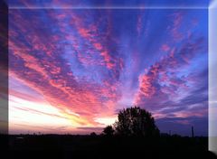 Sonnenaufgang Magdeburg