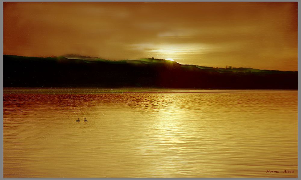 Sonnenaufgang   Mainau Jahr 2001