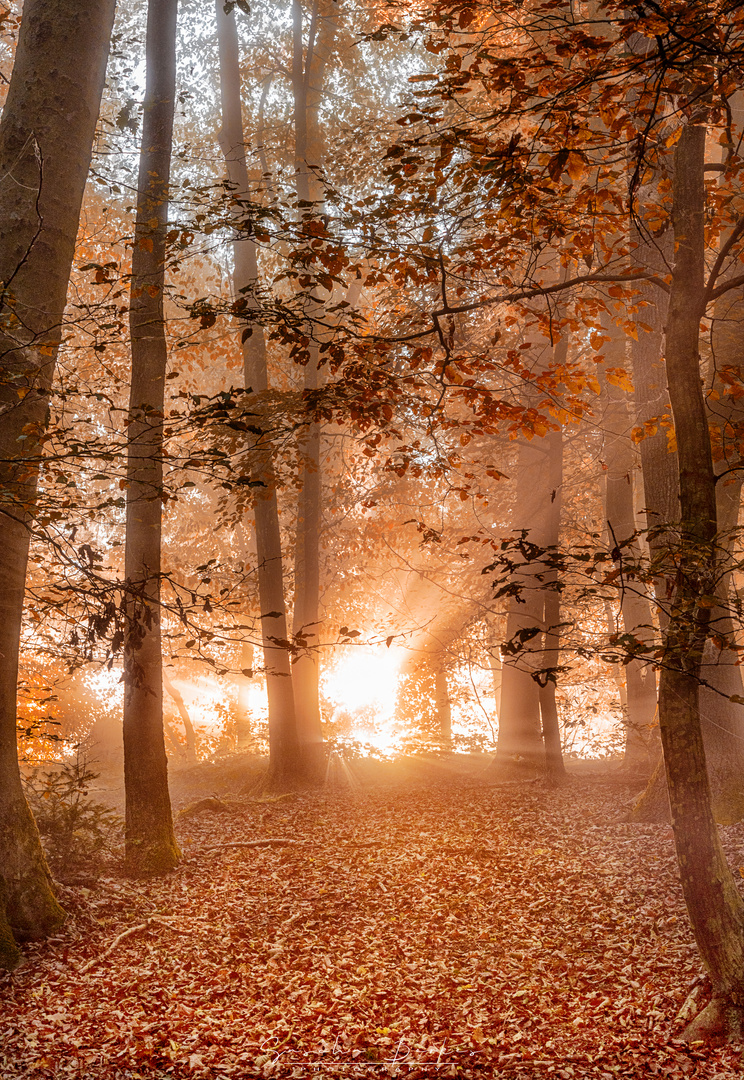 Sonnenaufgang Margarethenschlucht