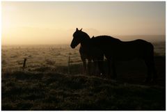 Sonnenaufgang - Max und Moritz