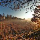 Sonnenaufgang mit abziehendem Nebel