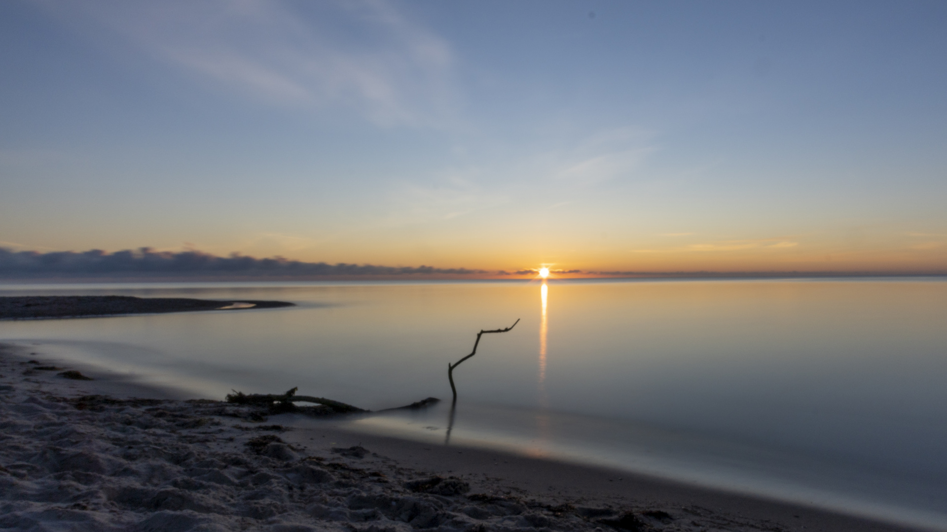 Sonnenaufgang mit Ast