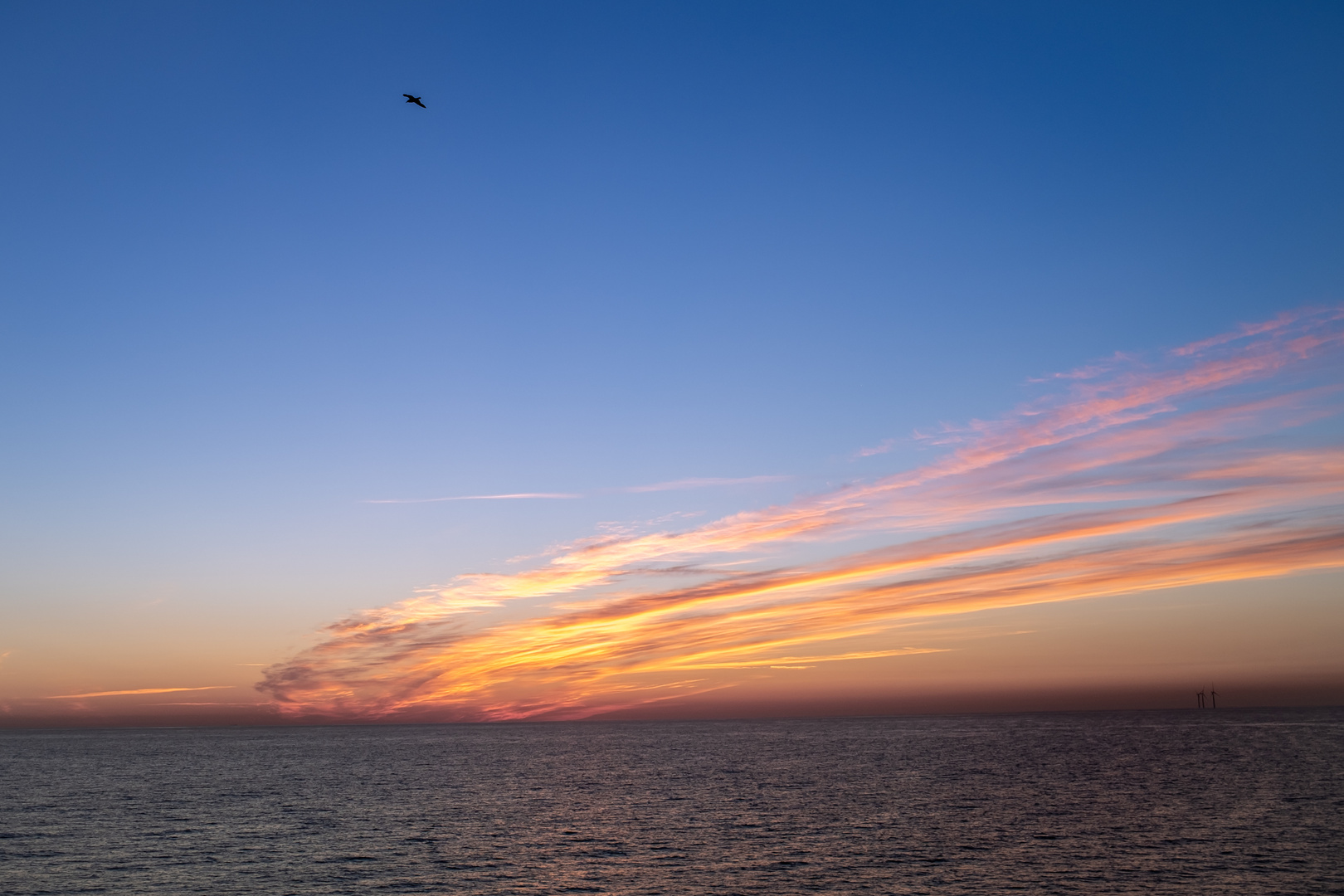 Sonnenaufgang mit Begleitung